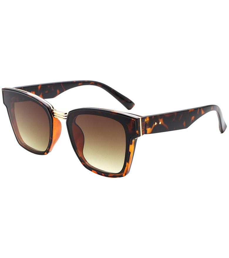 Fashion Square Women's Sunglasses